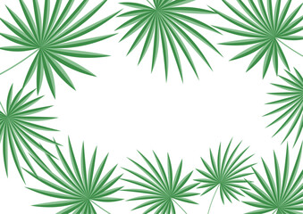 Fototapeta na wymiar Vector frame - fanned palm leaves isolated on white background.