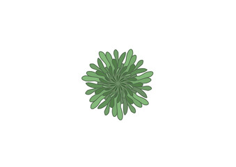 Illustration icon or cartoon and inspired by sea plants  with green color that can used fpor template, print, sticker, t-shirt, e.t.c