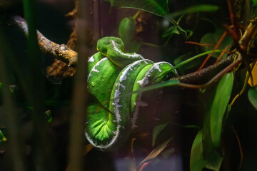 Amazing pictures of animals at the Zoo!