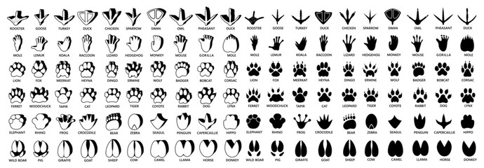 Fototapeta na wymiar Set collection black and white paw print silhouette icon symbol. Animal footprint design template vector illustration