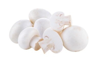 Champignon mushroom on transparent png