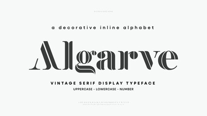 Modern vintage alphabet collection. Trendy display typeface bold serif. Uppercase, lowercase typography. Vector illustration - obrazy, fototapety, plakaty