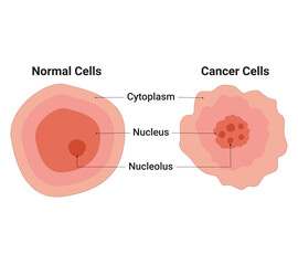 Normal Cell and Cancer Cell Vector Design