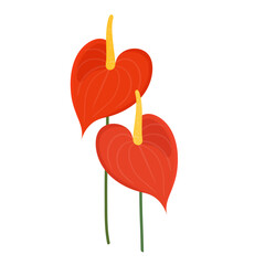 red anthurium flowers flat vector illustration logo icon clipart isolated on white background
