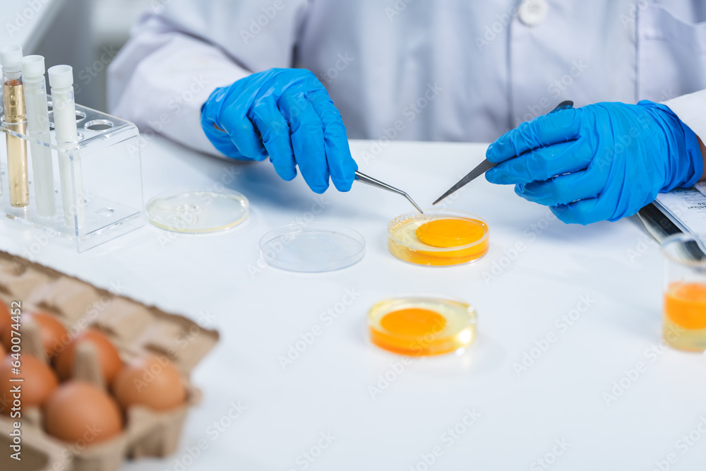 Wall mural laboratory of chicken egg in agriculture manufacturing industry or food quality control research, expert inspection working to science analysis test in medicine biology safety, biotechnology concept