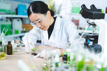 science research technology of plant leaf laboratory for medicine chemistry, medicals scientist...