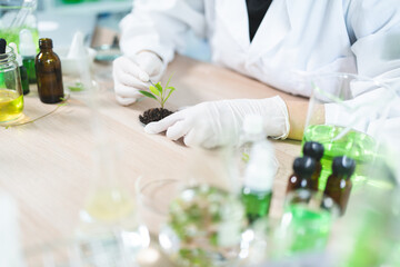 science research technology of plant leaf laboratory for medicine chemistry, medicals scientist...