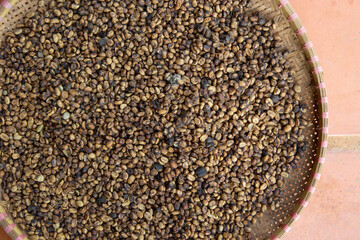 Kopi luwak or civet coffee, Coffee beans excreted by the civet	