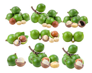 macadamia nuts  isolated on transparent png