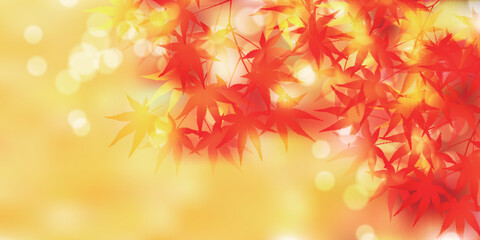 紅葉　もみじ　秋　背景