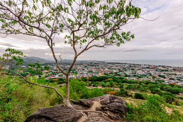 The abstract blurry background of the nature of water droplets from scattered waterfalls covering grass and stone surfaces, the beauty of spontaneous ecosystems.