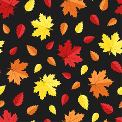 Fototapeta premium Fall vector seamless pattern. Red, yellow and orange autumn leaves on black background. Best for textile, wallpapers, home decoration, wrapping paper, package and your design.