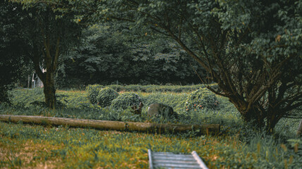 look out over a field