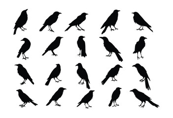 crows  set  ,hand drawn silhouette. - 640082274