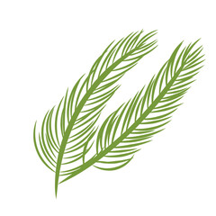 Fototapeta premium Green Palm Leaves