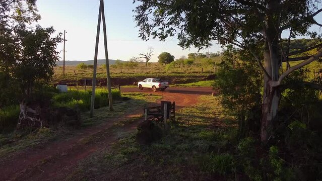 Aerial View of Pickup Truck on Road Leaving Yerba Mate Plantation in Misiones, Argentina