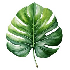 Bright Watercolor Tropical Leaves Clipart AI Generated