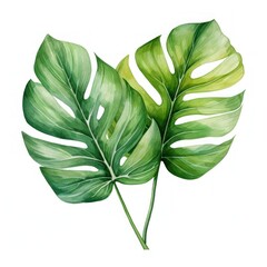 Bright Watercolor Tropical Leaves Clipart AI Generated