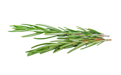 rosemary transparent png