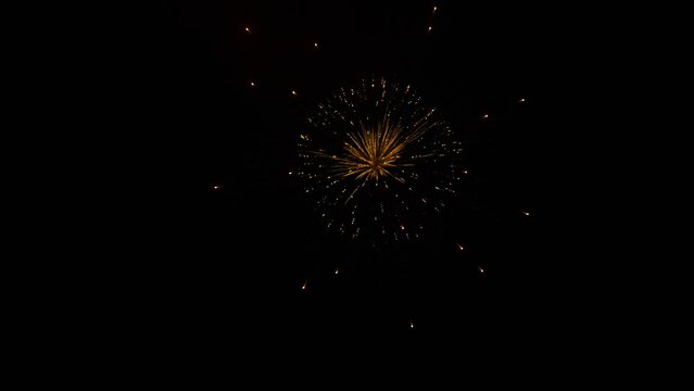 Fireworks explode in dark night sky, beautiful slow motion shot