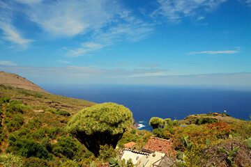 Küstenlandschaft von Las Tricias auf La Palma.