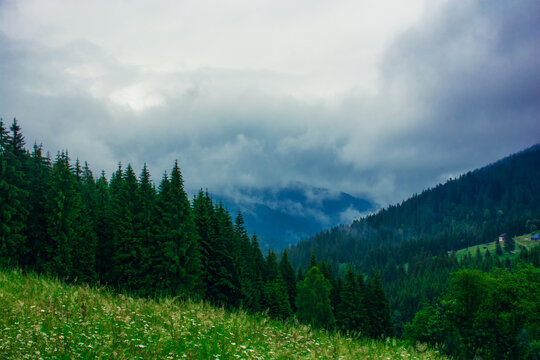 Beautiful summer mountain landscape with a haze of clouds on the tops of the hills. High quality photo