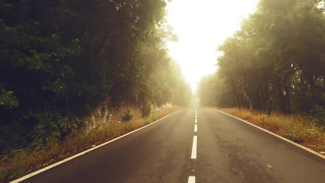 Pov driving on a straight asphalt road during orange sunset time with trees and forest on the sides. Travel and destination concept video. Vacation trip. Using vehicle on the road. Bright sunny end