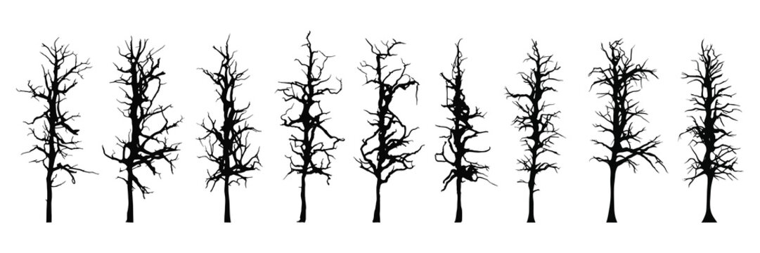Set of drawn trees without leaves, drawing on white background, vector design