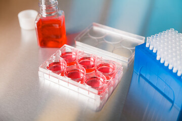 Cell culture media in laboratory for pipet.