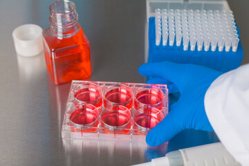 Cell culture media in laboratory for pipet.