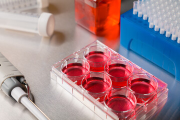 Cell culture media in laboratory for pipet.