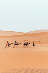 Camel trek with tourists through the sahara desert in Merzouga, Morocco