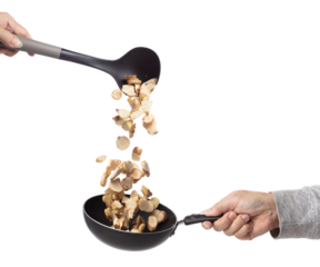 Galangal fall fly in pan, fresh vegetable spice galangal falling. Organic fresh herbal galangal root head cut chop slice, close up texture. White background isolated freeze motion high speed shutter