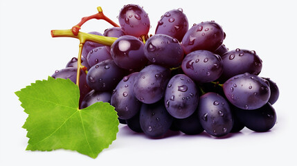 Bluish Isabella grapes bunch on white background