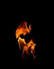 Burning flame isolated on dark background
