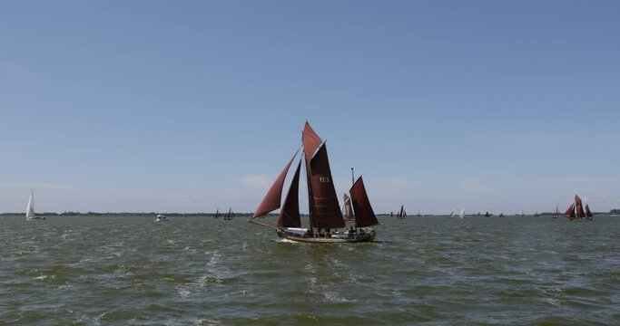 Zeesbootregatta, Wustrow, Saaler Bodden, Fischland, Darss, Mecklenburg-Vorpommern, Germany, Europe