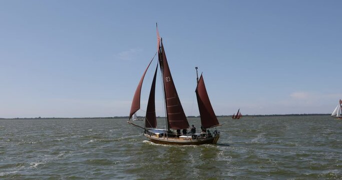 Zeesbootregatta, Wustrow, Saaler Bodden, Fischland, Darss, Mecklenburg-Vorpommern, Germany, Europe