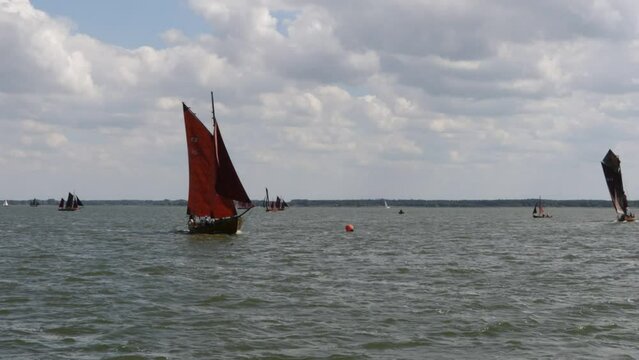 Zeesbootregatta, Wustrow, Saaler Bodden, Fischland, Darss, Mecklenburg-Vorpommern, Germany, Europe