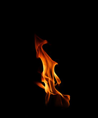 Burning flame isolated on dark background