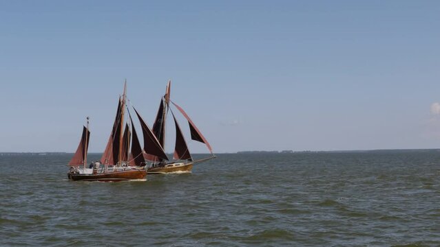 Zeesbootregatta, Wustrow, Saaler Bodden, Fischland, Darss, Mecklenburg-Vorpommern, Germany, Europe