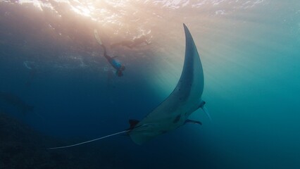 Underwater photographer takes pictures of manta ray. Freediver with camera films Giant ocean Manta Ray swimming over reef. Nusa Penida, Bali, Indonesia - 640097062