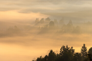 Dawn with golden morning mist in a mountain valley, Croatia