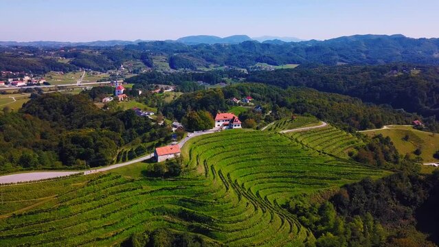 Stunning aerial 4K drone footage of Haloze, Slovenia. It is a picturesque region in northeastern Slovenia known for its rolling hills, lush vineyards, and rich cultural heritage. Filmed in the summer.