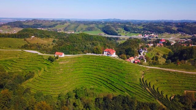 Stunning aerial 4K drone footage of Haloze, Slovenia. It is a picturesque region in northeastern Slovenia known for its rolling hills, lush vineyards, and rich cultural heritage. Filmed in the summer.