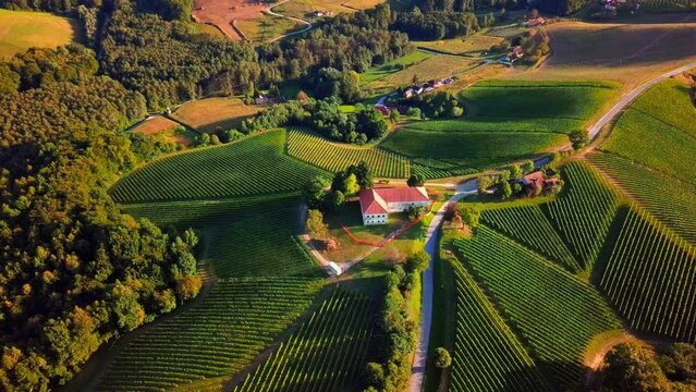 Stunning aerial 4K drone footage of Prlekija filmed in summer. Prlekija is a picturesque region in northeastern Slovenia known for its rolling hills, lush vineyards, and rich cultural heritage.