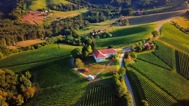 Stunning aerial 4K drone footage of Prlekija filmed in summer. Prlekija is a picturesque region in northeastern Slovenia known for its rolling hills, lush vineyards, and rich cultural heritage.