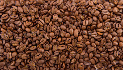 Fototapeta premium Coffee beans background. Roasted coffee beans close up