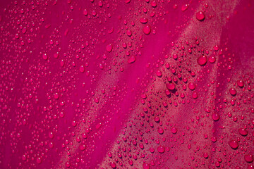 Close up water drop on the pink fabric. Abstract water drop on pink fabric background.