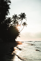 Sunrise with palm trees and silhouette of a person on Sri Lanka beach