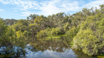 Fototapeta na wymiar Herdsman Lake in Perth